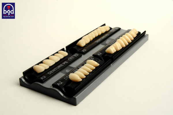 Denture dents en résine 3 couches denture FT-Bg-Dental