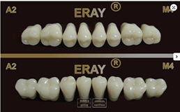 Dents en acrylic 2 couches- ERAY